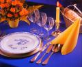 Nappe non tiss�e 10m x 120cm