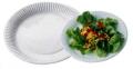 Assiette carton  blanche