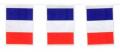 Guirlande pvc tricolore