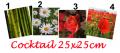 Serviettes bambou, marguerite, rose, coquelicots en cocktail