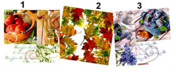3 - Serviettes papier