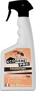 FOUDROYANT FOURMIS
