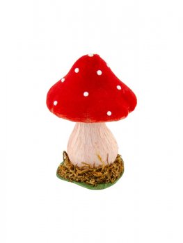 CHAMPIGNON ANAMITE