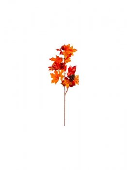 Branche d'automne