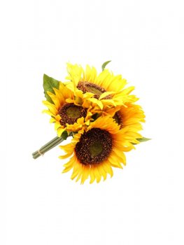 Bouquet de Tournesol