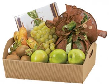 Corbeille carton 