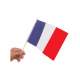 DRAPEAU TRICOLORE 20X30CM