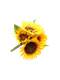 Bouquet de Tournesol