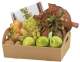 Corbeille carton 