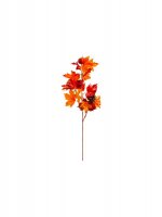 Branche d'automne