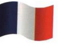 DRAPEAU TRICOLORE 20X30CM